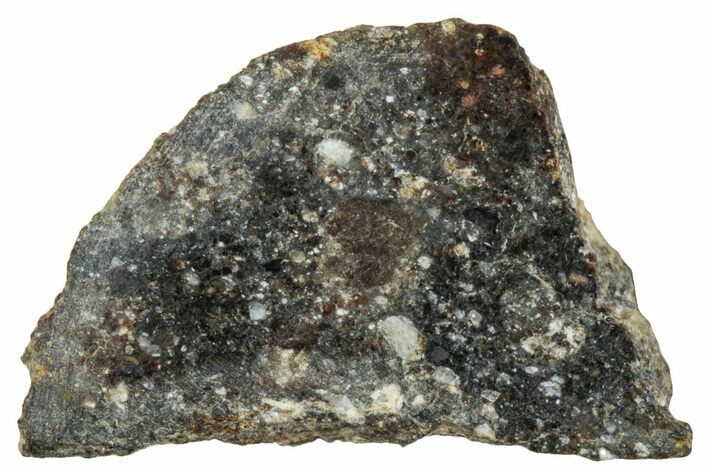 Polished Howardite Meteorite Section ( g) - Bechar #286972
